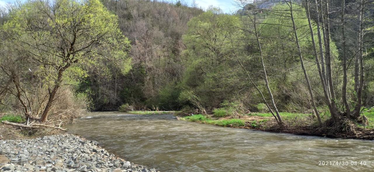 Juzni Vetar Hotel Trnski Odorovci Bagian luar foto