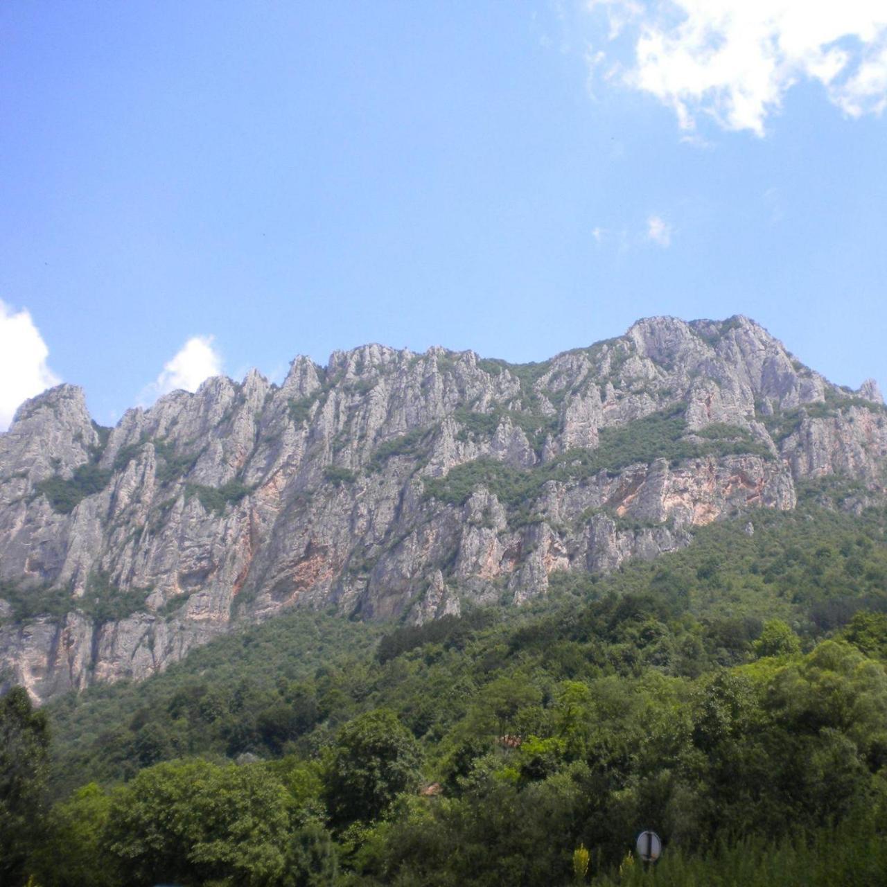 Juzni Vetar Hotel Trnski Odorovci Bagian luar foto