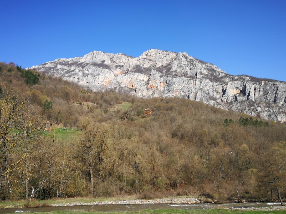 Juzni Vetar Hotel Trnski Odorovci Bagian luar foto