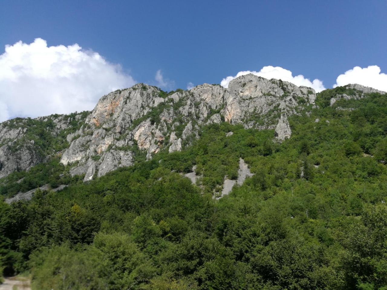 Juzni Vetar Hotel Trnski Odorovci Bagian luar foto