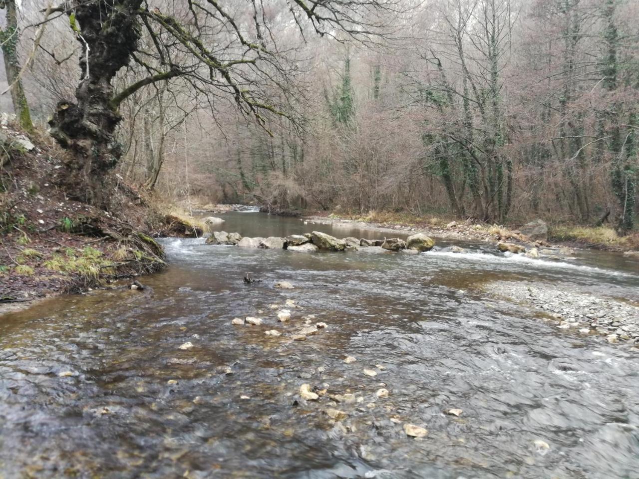 Juzni Vetar Hotel Trnski Odorovci Bagian luar foto