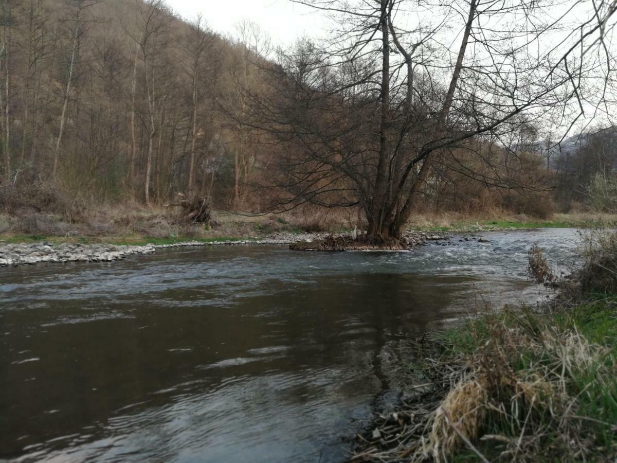 Juzni Vetar Hotel Trnski Odorovci Bagian luar foto