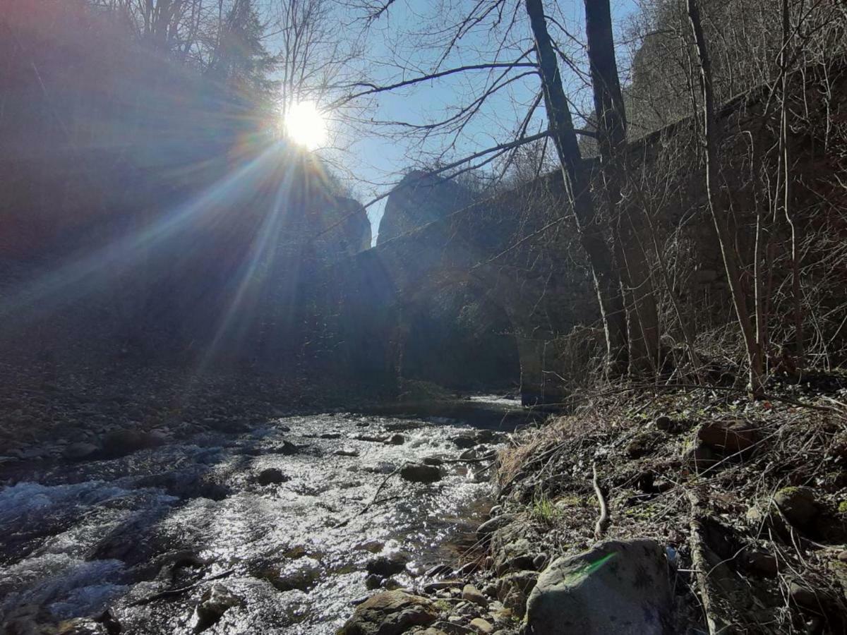 Juzni Vetar Hotel Trnski Odorovci Bagian luar foto