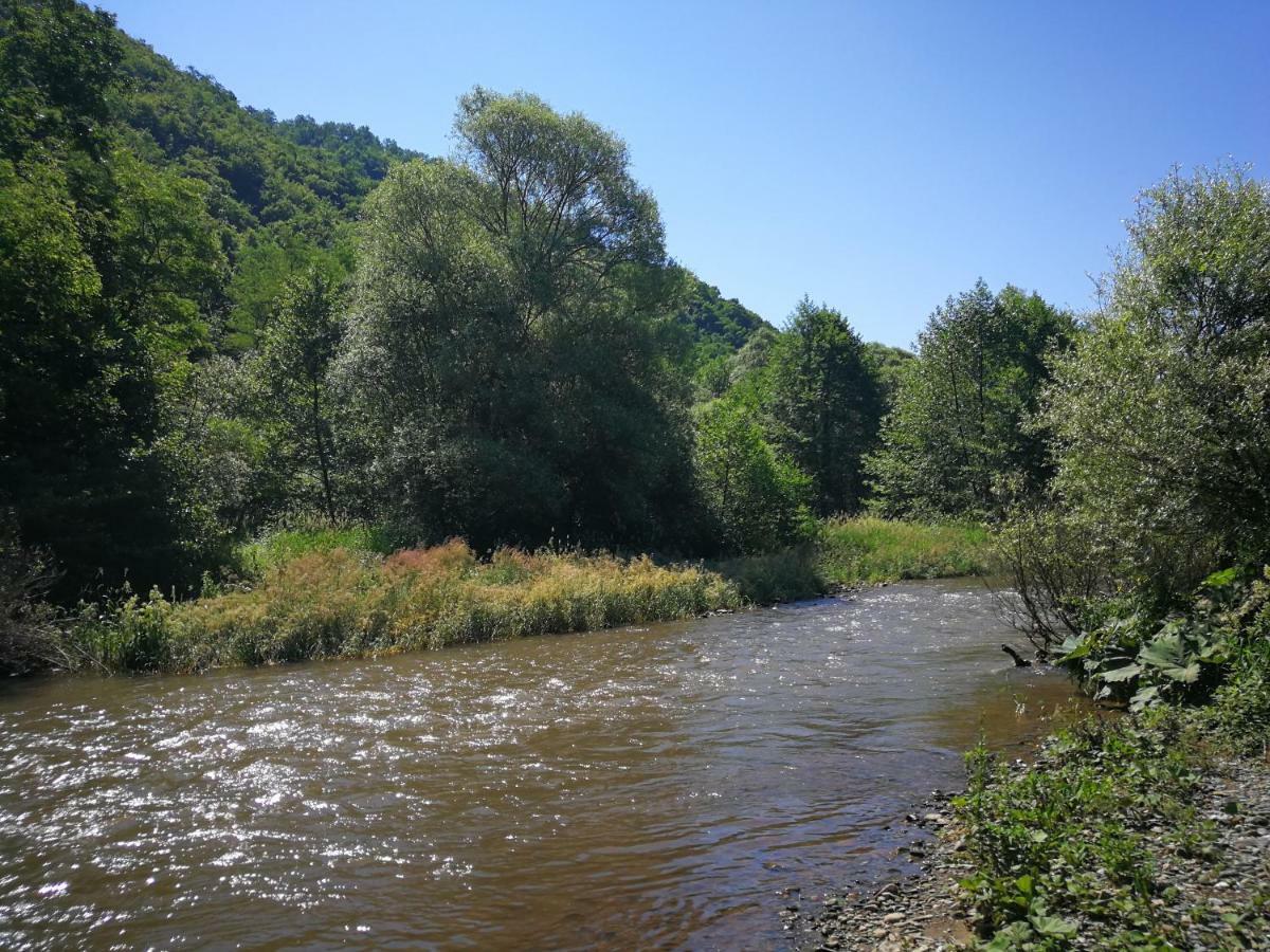 Juzni Vetar Hotel Trnski Odorovci Bagian luar foto