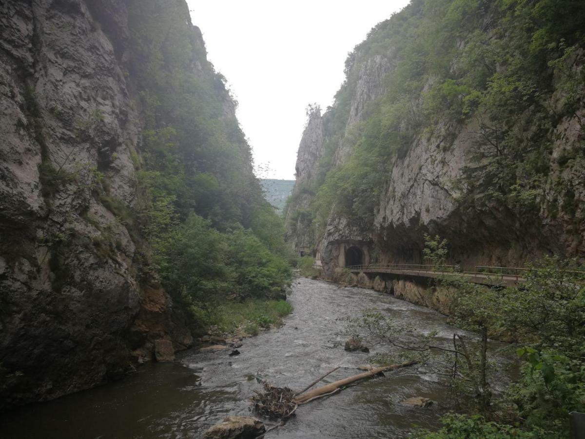 Juzni Vetar Hotel Trnski Odorovci Bagian luar foto